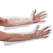 Clear Poly Gloves Elbow Length